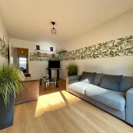 Tour Eiffel Abbe Groult Lecourbe Apartment Paris